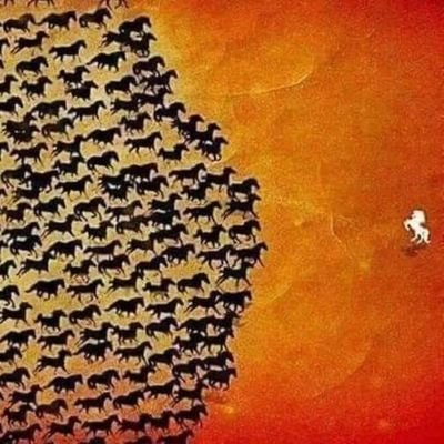 abrarhussain336's profile picture. ‏فالو کریں فالو بیک لیں💯