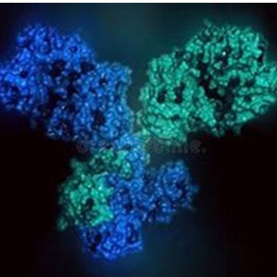 molbio08さんのプロフィール画像