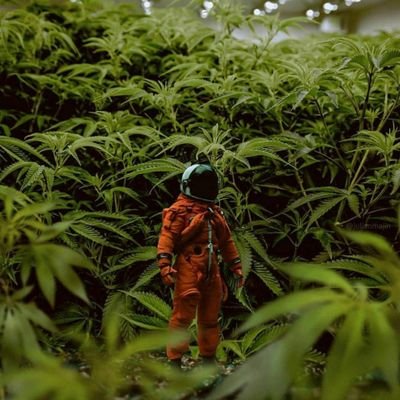 brandaz313's profile picture. با افتخار یک براندازم 
✡︎تابع دین یهود خدایی هستم✡︎