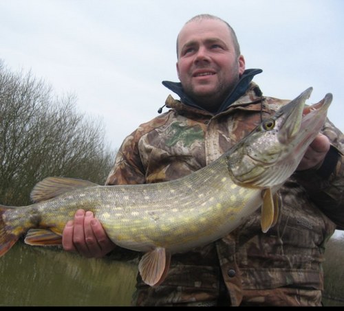 landygtfc's profile picture. 