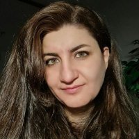 Vahideh Alizadeh (@vahidehalizadeh) 's Twitter Profile
