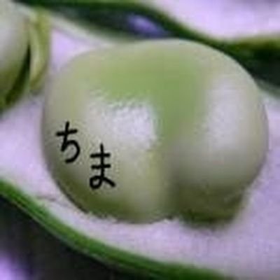 マメちまさんのプロフィール画像