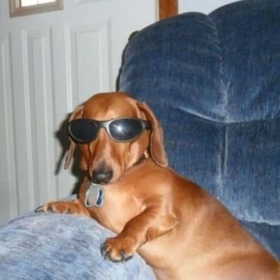 melisaa_scy's profile picture. 