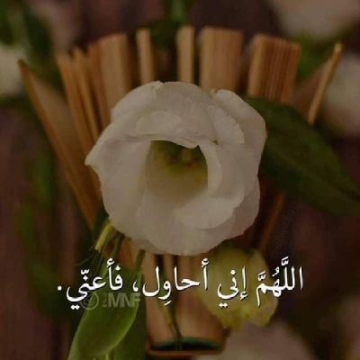 صامت احب الخير لغيري
افهم واتغابي ولكن احببت الرد فلن تتحمل ردي
