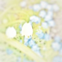 ミヅク2 (@mizuku_496) Twitter profile photo