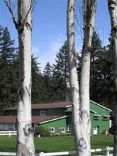 cgschengl's profile picture. Mandarin Teacher, Global Trip Leader, Author, Mushroom Hunter & Basketball Player