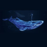 Whale Lounge (@boophaber) 's Twitter Profile Photo Whale Lounge (@boophaber) 's Twitter Profile Photo