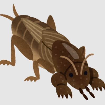 おけらさんのプロフィール画像