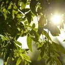 Darnell Daniel - @Darnell45777774 - Twitter