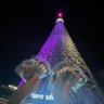 ririri0127choa's profile picture. 