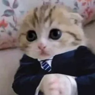 letallan_'s profile picture. farmer / miner / little kitten