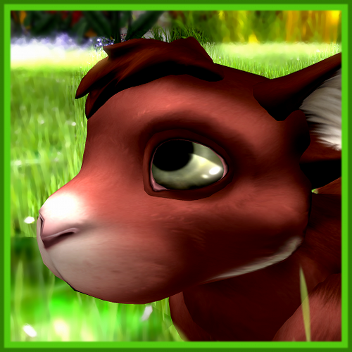 Just a random Meeroo who dug up a smartphone.