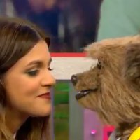We're just normal men(@wejustnormalmen) 's Twitter Profile Photo We're just normal men(@wejustnormalmen) 's Twitter Profile Photo