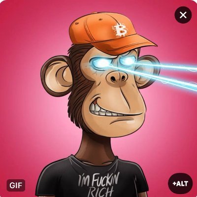 Monkey123Crypto's profile picture. 暇。