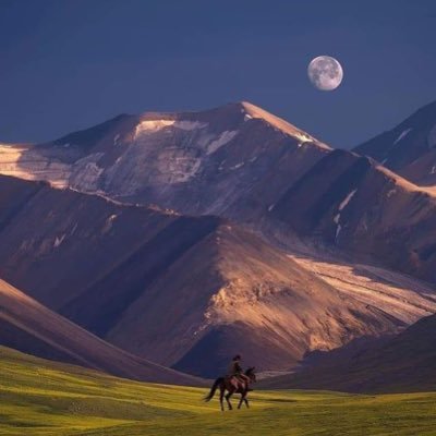 SanjarAlg's profile picture. International relations/Politics&Security.
