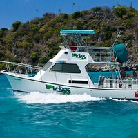 Low Key Watersports (@divelowkey) 's Twitter Profile