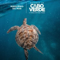 Ministério do Mar - Cabo Verde (@damaritima) 's Twitter Profile