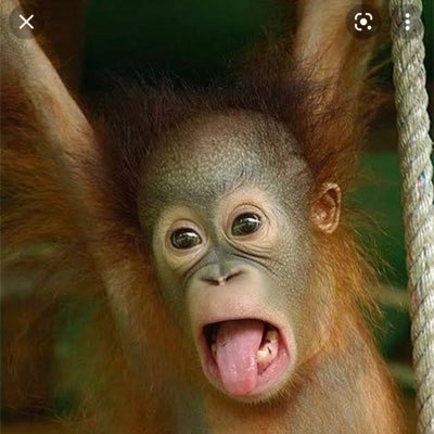 Yum95135871's profile picture. 在外教育施設派遣目指す中学校教員。部活動廃止を望む。授業力つけたい。色々な人と繋がりたいです。無言フォローしますが、よろしくお願いします🥺