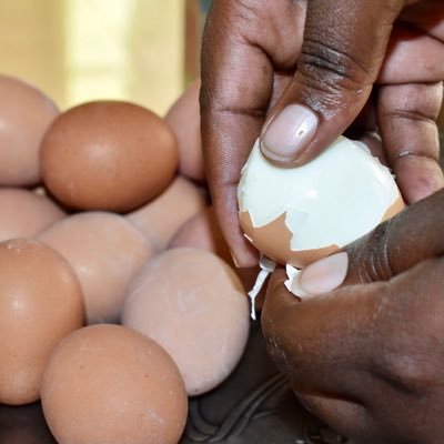 @FeedtheFuture #MarketSystem @USAIDRwanda Activity working with @RwandaAgri to increase availability, access and consumption of animal-sourced foods