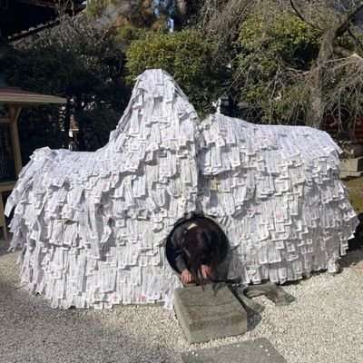 なかむらさんのプロフィール画像