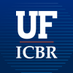 UF ICBR (@UF_ICBR) Twitter profile photo