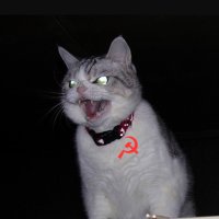 suhî (@kurumred) 's Twitter Profile