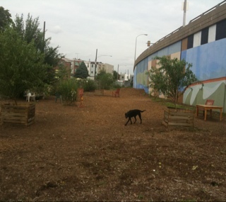 TriangleDogPark's profile picture. 