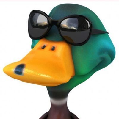 surtodaxulia's profile picture. não só dando palco pra doido dançar mas dançando junto