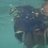 mbel27's profile image