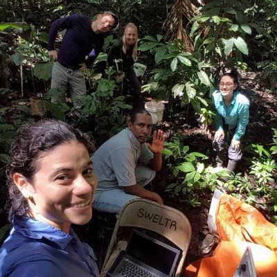 Soil Warming Experiment in Lowland Tropical Rainforest
Understanding climate change impacts on tropical soils and forests
@stri_panama @SoGLeeds