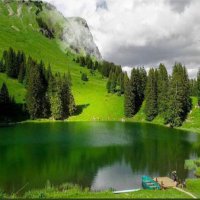 نادر الوجود (@d772561642) 's Twitter Profile