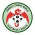 Gwent County Girls League (@GCGirlsLeague) Twitter profile photo