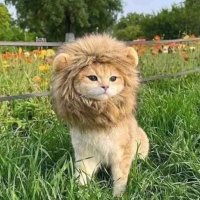 Tobias✨ (@tobicoolertyp) Twitter profile photo