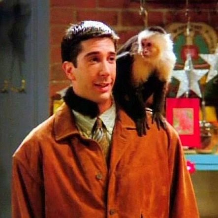 No context Ross Geller