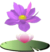 Plenitudesalem's profile picture. Terapeuta Complementar Andréa Salem 
Consulta de Florais pelo  Msn  &  Skype         
atendimentoterapia.online@live.com
(11) 3484-9919 SP Capital