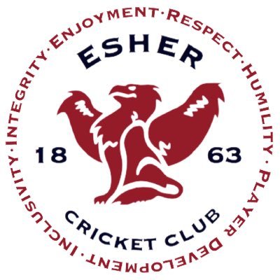 Thriving Girls Cricket Section at Esher Cricket Club Surrey for U4-U17. New members welcome