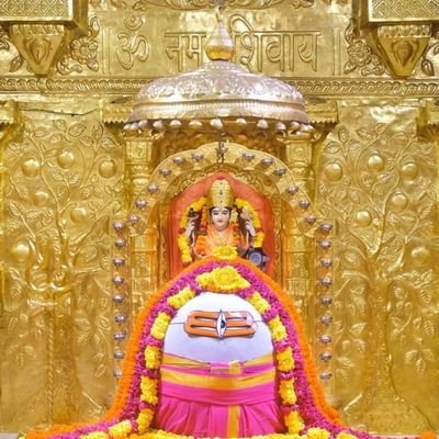 PMehashwari's profile picture. My name lls