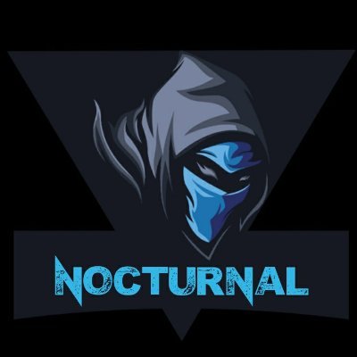 Nocturnal_FPS Profile Picture