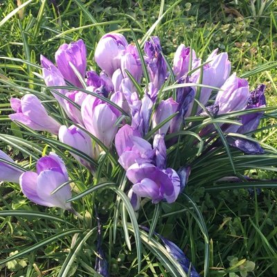 M_I_S_A_K_I555's profile picture. 👩🏻‍💼43歳👨‍💼33歳/海外在住: 1度目IVF 🥚4つ→奇跡起こらず:2度目ICSI 🥚6つ→🥚育たず/43歳になる前にセカオピ行くも「歳の割には卵取れてる」けど「不妊治療はしない」と伝えられ壁打ち状態。右に子宮内膜症とチョコ持ち。どうしたらいいかわからず迷走中