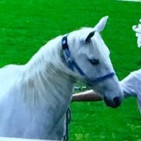aiko24653 (@aiko24653) 's Twitter Profile Photo aiko24653 (@aiko24653) 's Twitter Profile Photo
