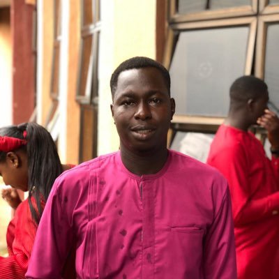 Political consultant, strategist, Analyst and Adviser.
