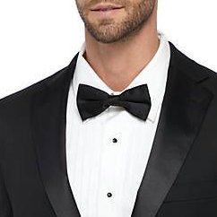 nicola_vangogh's profile picture. 