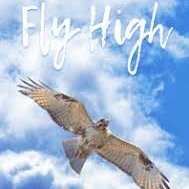 flyyhigh93's profile picture. buy crypto fuck fiat !!!