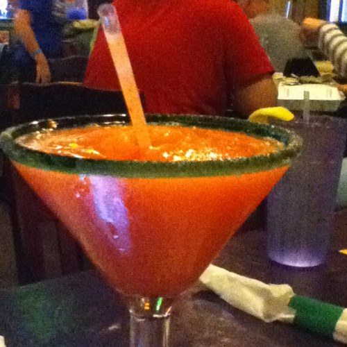 blue5262's profile picture. living life everyday like it's my last.