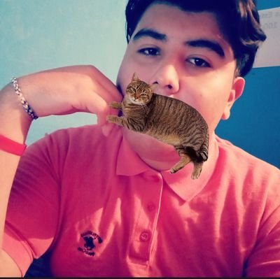 Medina22Antonio's profile picture. Soy una cartulina olvidada en un salón de clases.