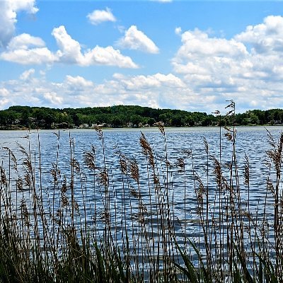 Springf68282641's profile picture. Join us in Springfield Township, Ohio near Akron. Walk along the lake and enjoy our playgrounds, picnic areas. We are a township with heart!