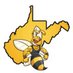 West Virginia Sting (@wvstingsoftball) Twitter profile photo West Virginia Sting (@wvstingsoftball) Twitter profile photo