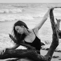 Maraschkyphoto (@maraschkyphoto) 's Twitter Profile Photo Maraschkyphoto (@maraschkyphoto) 's Twitter Profile Photo