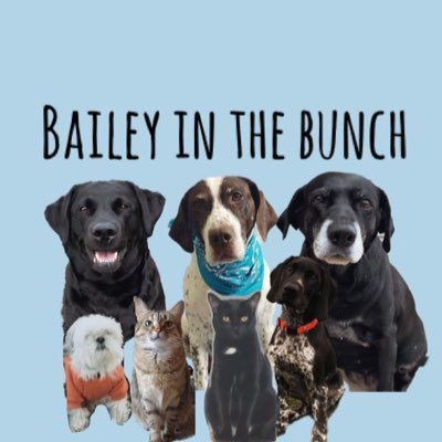 baileyathebunch's profile picture. R̲i̲l̲e̲y̲ ̲🍗 ̲B̲a̲i̲l̲e̲y̲ ̲🕊❤️‍🩹 ̲T̲u̲c̲k̲e̲r̲ ̲🦴 ̲F̲l̲a̲s̲h̲ ̲C̲h̲l̲o̲e̲🐈🐈‍⬛ ̲G̲h̲o̲s̲t̲🎾 ̲P̲r̲i̲n̲c̲e̲s̲s̲ ̲👑 𝕄ℕ