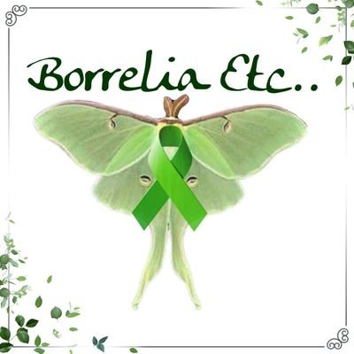 Documenting the mistreatment of patients due to a Lyme disease diagnosis.
Please submit your story to BorreliaEtc@gmail.com